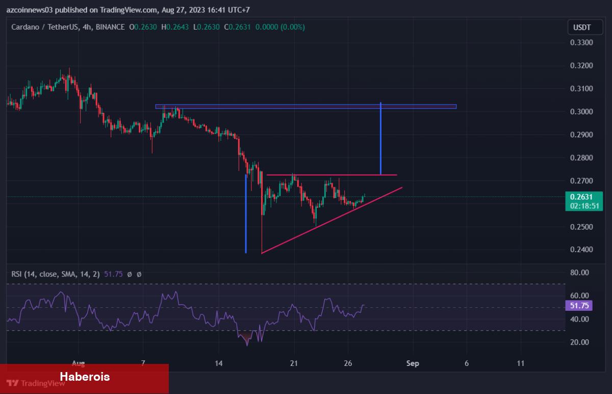 Altcoin Avcıları Bu 2 Coin’e Göz Dikti: Fırsat Bölgesindeler! - Haberois Altcoin Avcıları Bu 2 Coin’e Göz Dikti: Fırsat Bölgesindeler!