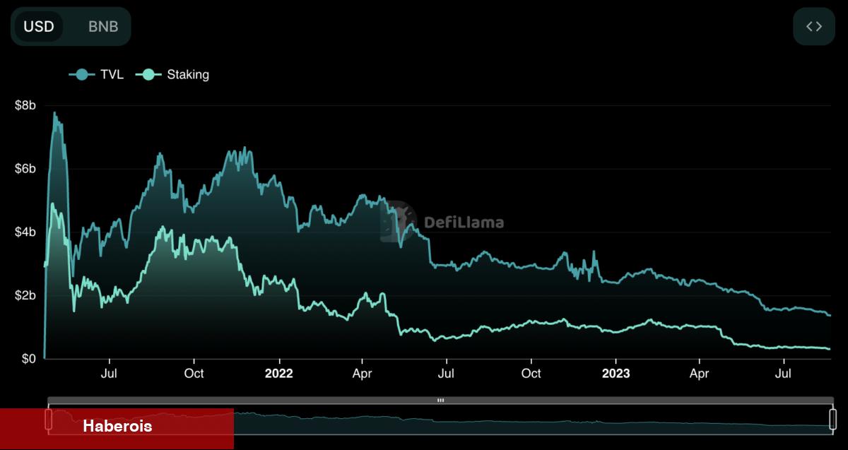 Analist Açıkladı! En Güzel Patlama Yapacak Altcoin Bu