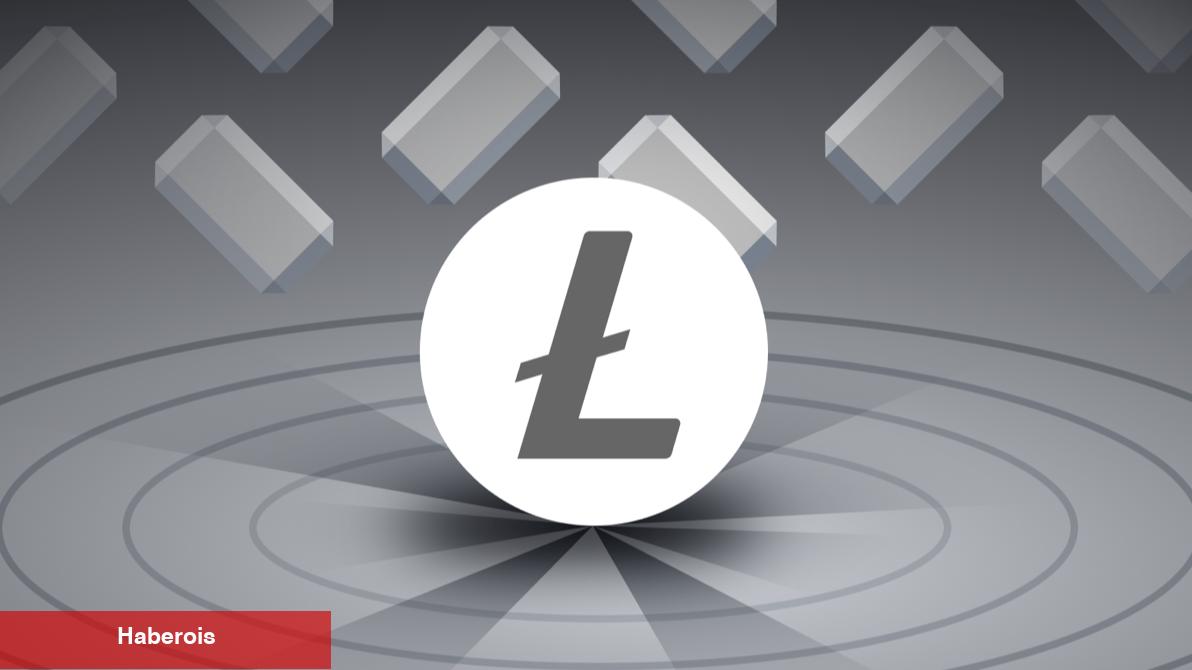Analist: İşte Satın Alma Fırsatı Sunan 5 Mavi Çipli Altcoin!