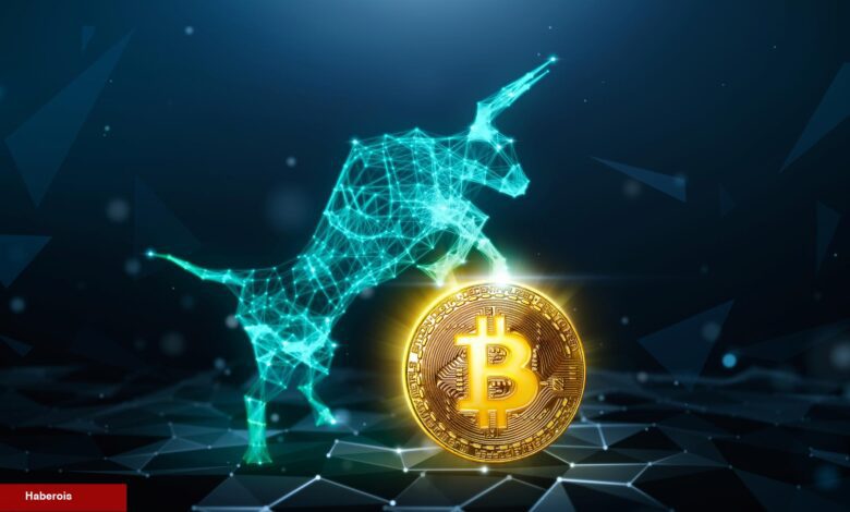 Analistler Açıkladı: Uzun Vadeli Yatırımcılar Bitcoin Biriktiriyor! - Haberois Analistler Açıkladı: Uzun Vadeli Yatırımcılar Bitcoin Biriktiriyor!