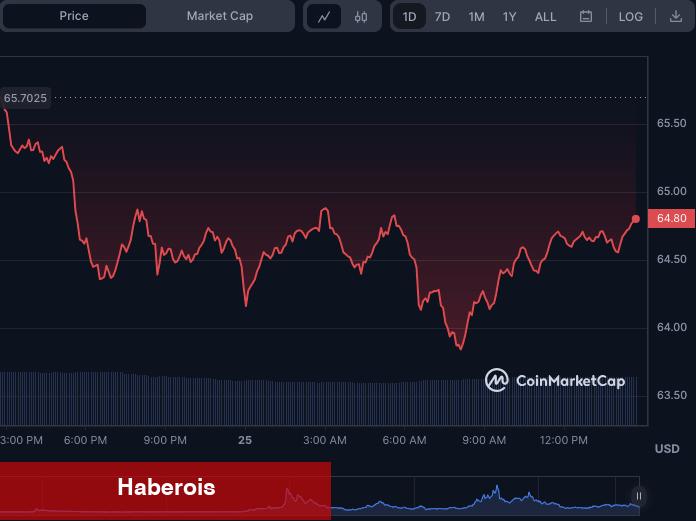 Analistler Uyarıyor! Bu Altcoin Şiddetli Virajda - Haberois Analistler Uyarıyor! Bu Altcoin Şiddetli Virajda