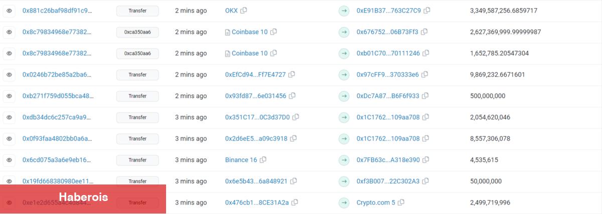 BAD ve ETH Satan Balinalar Bu 5 Altcoin’den İstifliyor!