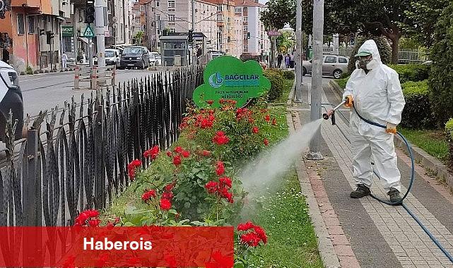 Bağcılar Belediyesi Bitlerle Mücadelesini Sürdürüyor - Haberois Bağcılar Belediyesi Bitlerle Mücadelesini Sürdürüyor