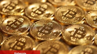 Balina hareketleri arttı: Büyük yatırımcılar en çok hangi altcoin’leri alıyor?