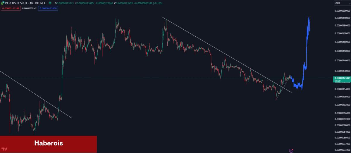Balina Kestirimleri: Bu 6 Altcoin ‘Dik Patlama’ Yapabilir!