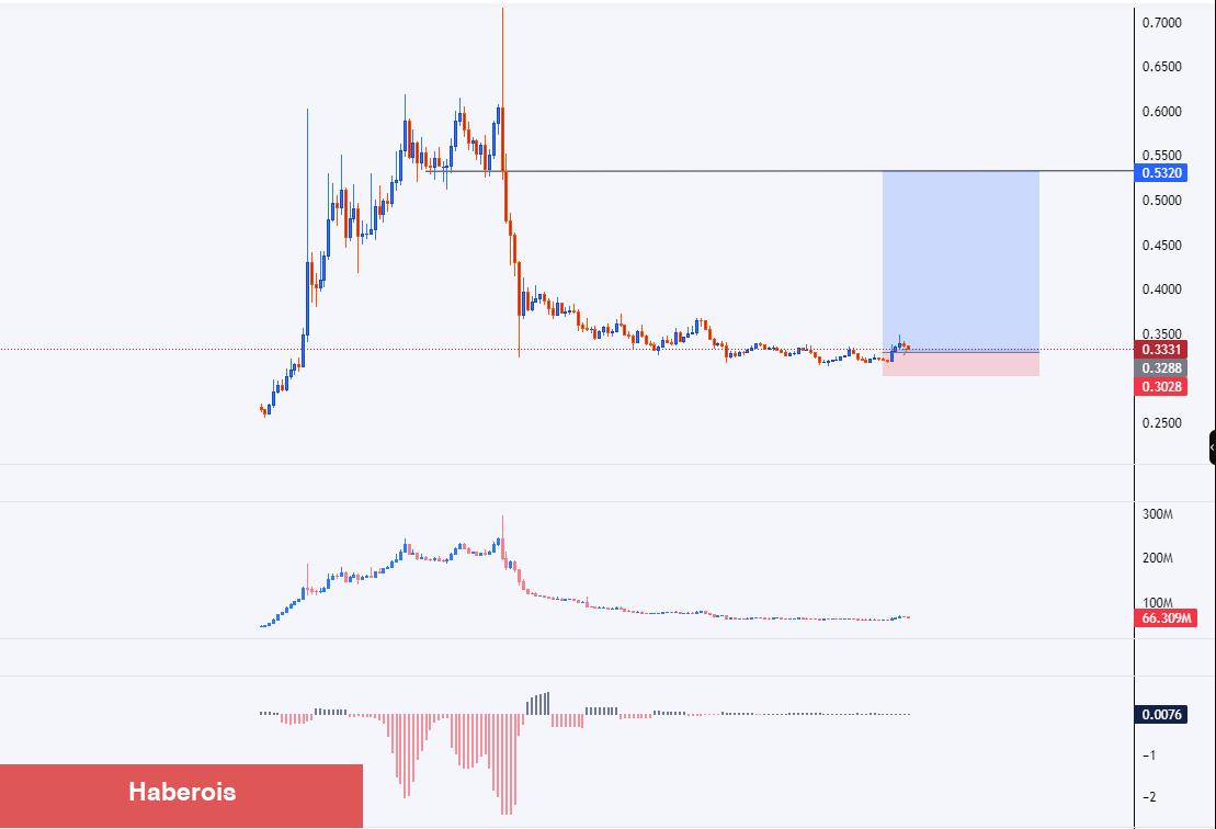 Balina Kestirimleri: Bu 6 Altcoin ‘Dik Patlama’ Yapabilir!