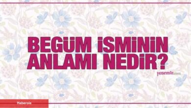 Begüm isminin manası nedir? Begüm ismi Kuran'da geçiyor mu? Begüm isminin özellikleri