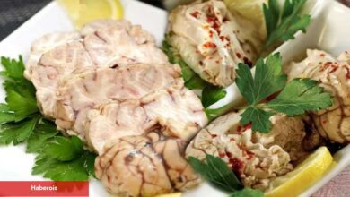 Beyin salatası nasıl yapılır? Söğüş beyin salatası tarifi! MasterChef beyin salatası