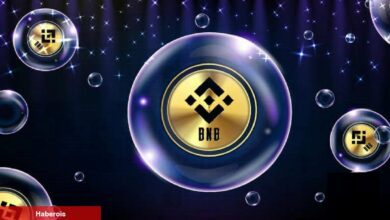 Binance, BNB Fiyatını Yükseltmek İçin Bu Coini Satıyor!