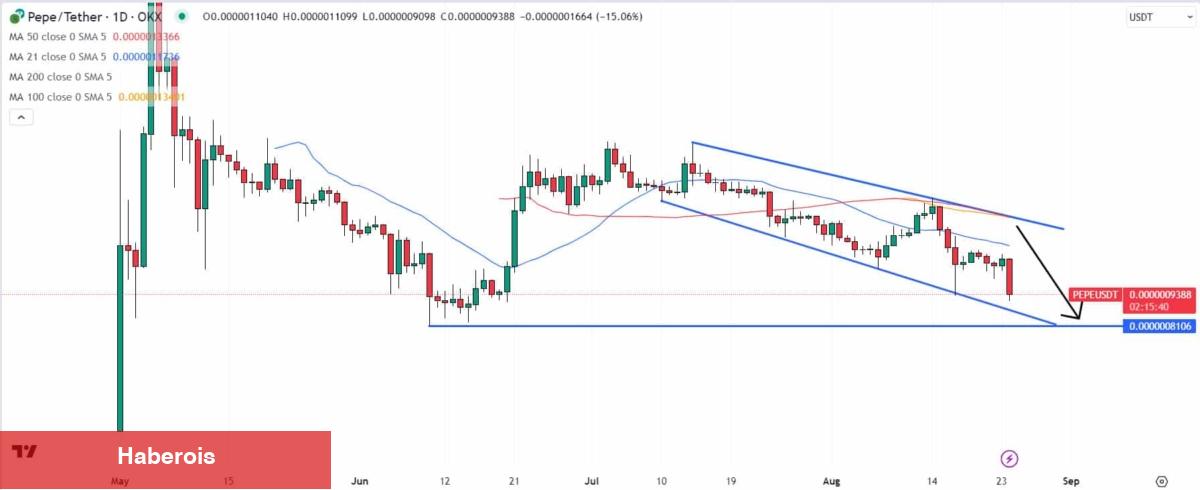 Binance Listeli Tanınan Altcoin Sert Düştü! Rug Pull Mu? - Haberois Binance Listeli Tanınan Altcoin Sert Düştü! Rug Pull Mu?