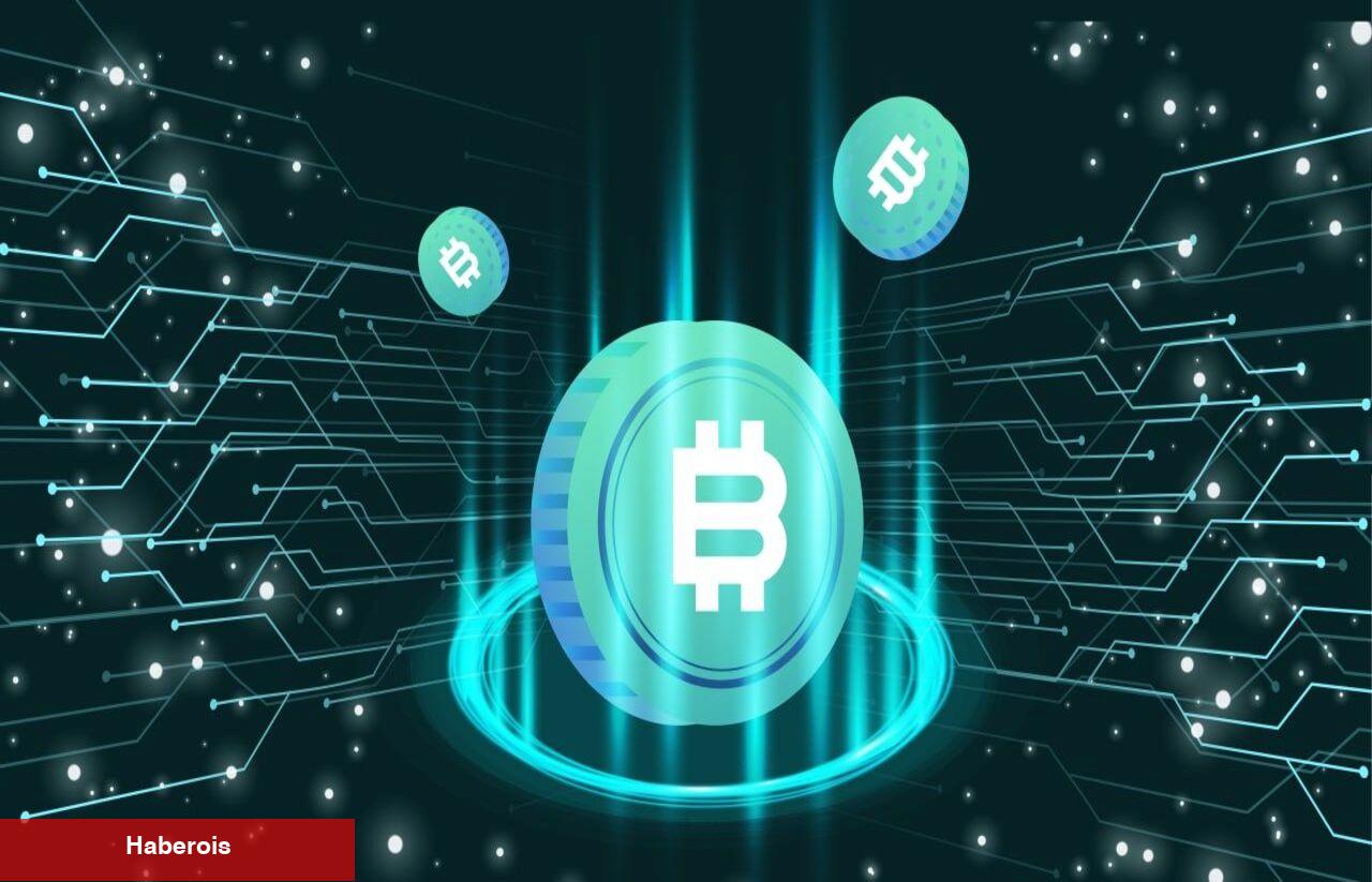 Binance ve Bitfinex Değil! Bu Platform Bitcoin Sahipliğinde Dikkat Çekiyor