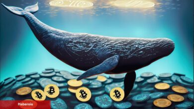 Binance’de Altcoin Balinaları Harekette! Milyon Dolarlar Akıyor