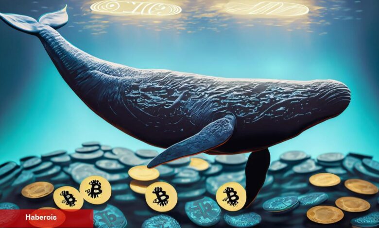 Binance’de Altcoin Balinaları Harekette! Milyon Dolarlar Akıyor - Haberois Binance’de Altcoin Balinaları Harekette! Milyon Dolarlar Akıyor