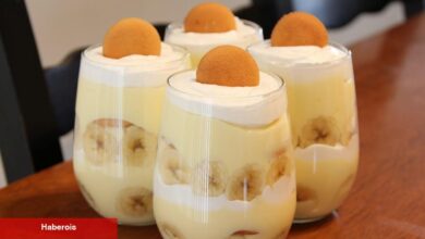 Bisküvili muzlu puding tanımı