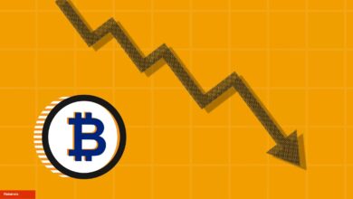 Bitcoin Düşüşü Devam Edecek mi? İşte 7 Uzmanın Görüşleri!
