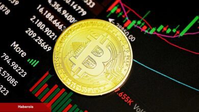 Bitcoin Fiyatı İçin 9 Farklı İddia: Yeni Dalga mı Geliyor?