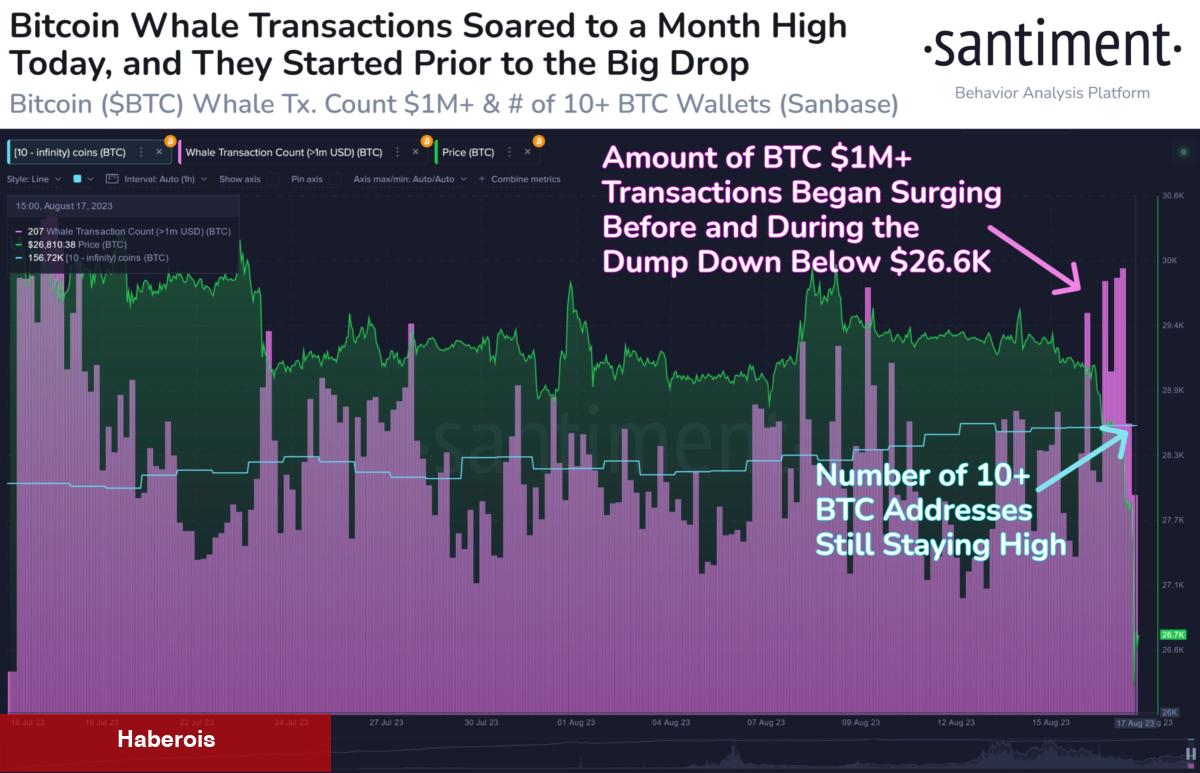 Boğa Sinyali Geldi! Altcoinler İçin Fırsat Dalgası - Haberois Boğa Sinyali Geldi! Altcoinler İçin Fırsat Dalgası