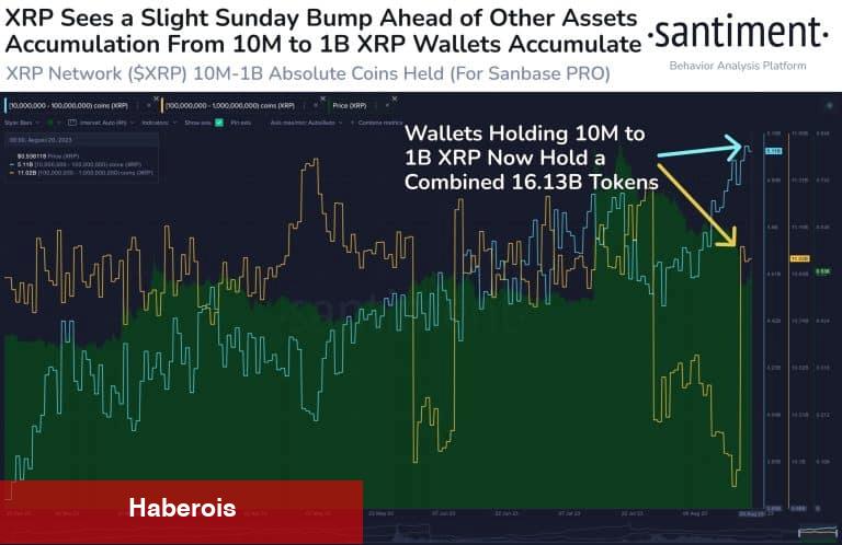 BTC ve ETH Satan Kurumsal Yatırımcılar Bu Altcoin’den Alıyor!