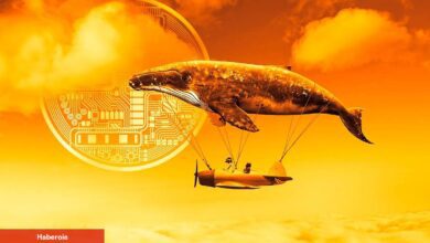 Bu Altcoin Balinaları Taban Avcılığı Yapıyor: Fiyat Fırlar Mı?