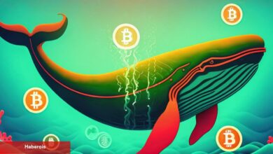 Bu Bitcoin Balinası Şaşırttı: 3 Ayda En Büyüklerden Oldu!