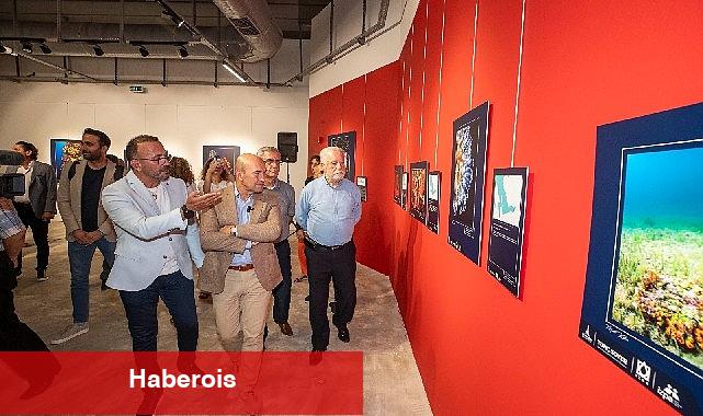 "Bu güzelim Körfez'de tekrar yüzeceğiz" - Haberois "Bu güzelim Körfez'de tekrar yüzeceğiz"