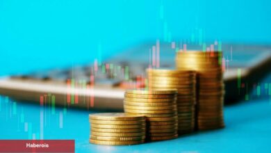 Bu Hafta Bu 79 Altcoin İçin Kıymetli: İşte Yaşanacaklar Listesi!