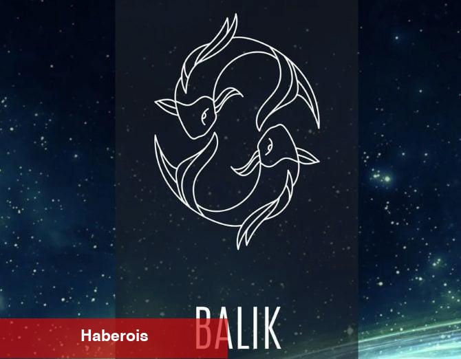 Burçların başarılı olacağı meslekler