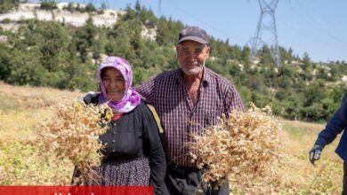 Büyükşehir'den toprağa bereket desteği