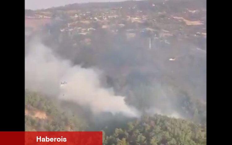Çanakkale'deki yangında son durum... Çanakkele'de tedbir amaçlı kara ve deniz ulaşımı kapalı - Haberois Çanakkale'deki yangında son durum... Çanakkele'de tedbir amaçlı kara ve deniz ulaşımı kapalı