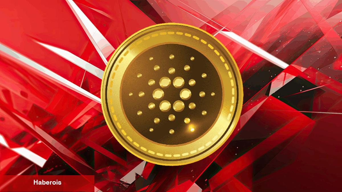Cardano Mucidi, Türklerin Favori Altcoin’ini Eleştirdi!