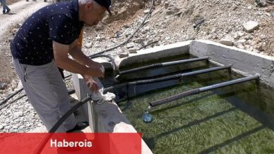 Celil ve Üçoluk yaylaları suya kavuşuyor