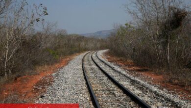 Çin’in ilk yüksek hızlı treni, 15 yılda 340 milyon yolcu taşıdı