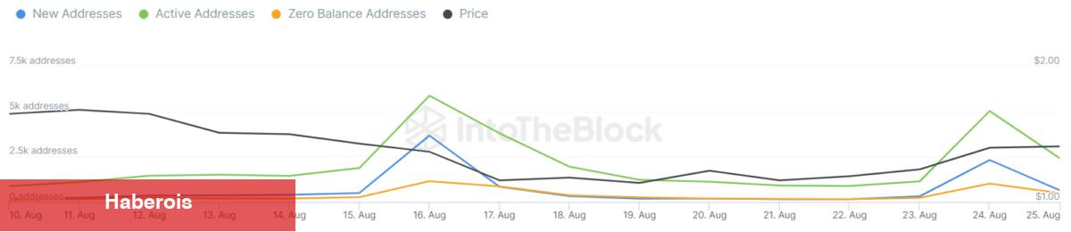 Çöken O Altcoin Bu Haberle Yükselişe Geçti! Hacim Patladı