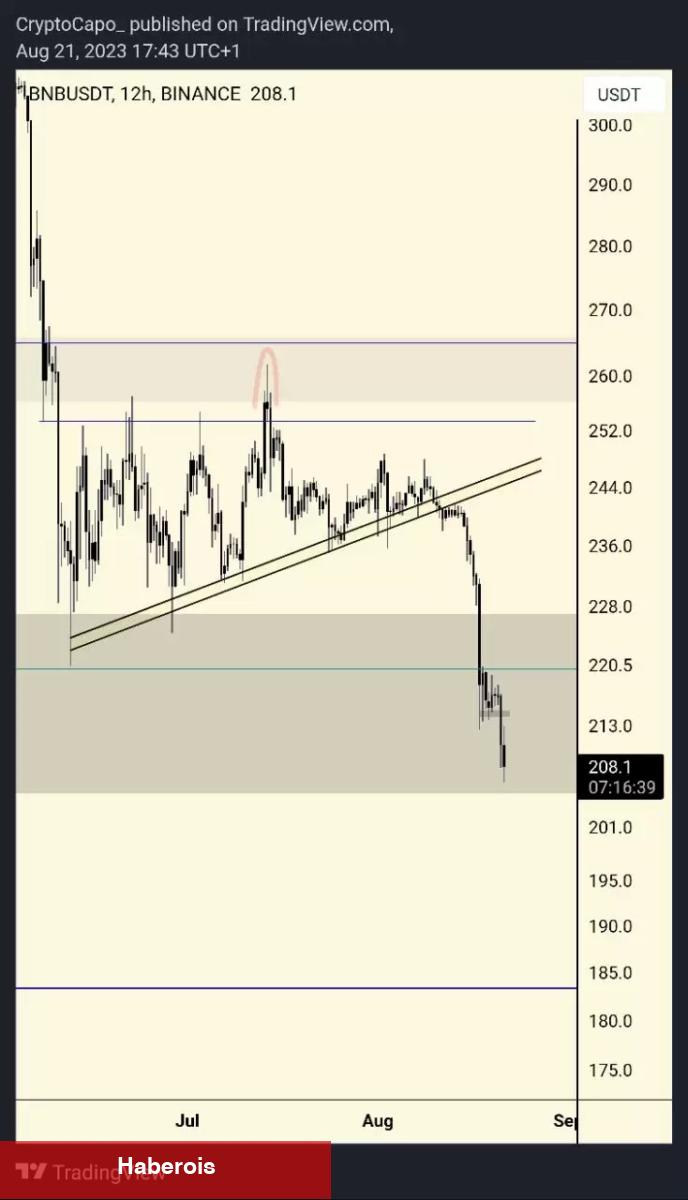 Çöküş Kapıda! Ünlü Analist Bu Altcoin İçin Uyardı