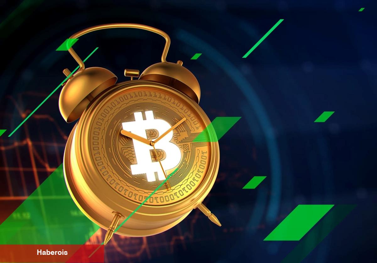 Çöküşleri Bilen Analist, Bitcoin İçin Uyardı: Düzmece Ralli! - Haberois Çöküşleri Bilen Analist, Bitcoin İçin Uyardı: Düzmece Ralli!