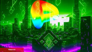 CRV Satan Binance Balinaları Bu 2 Altcoin’i Topluyor!