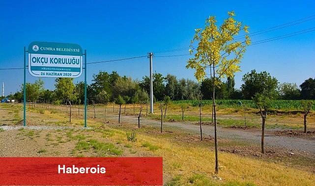 Çumra'nın Yeşil Alanları Nefes Oldu - Haberois Çumra'nın Yeşil Alanları Nefes Oldu