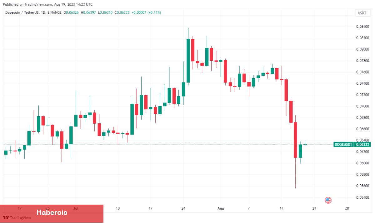 Dev Balina Onmilyonluk DOGE Satın Aldı! Neler Oluyor? - Haberois Dev Balina Onmilyonluk DOGE Satın Aldı! Neler Oluyor?