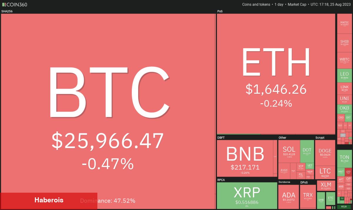 DOGE, ADA, XRP, MATIC ve Bu 6 Coin İçin Al-Sat Seviyeleri!
