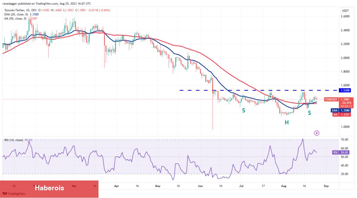 DOGE, ADA, XRP, MATIC ve Bu 6 Coin İçin Al-Sat Seviyeleri!