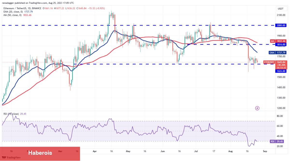 DOGE, ADA, XRP, MATIC ve Bu 6 Coin İçin Al-Sat Seviyeleri!