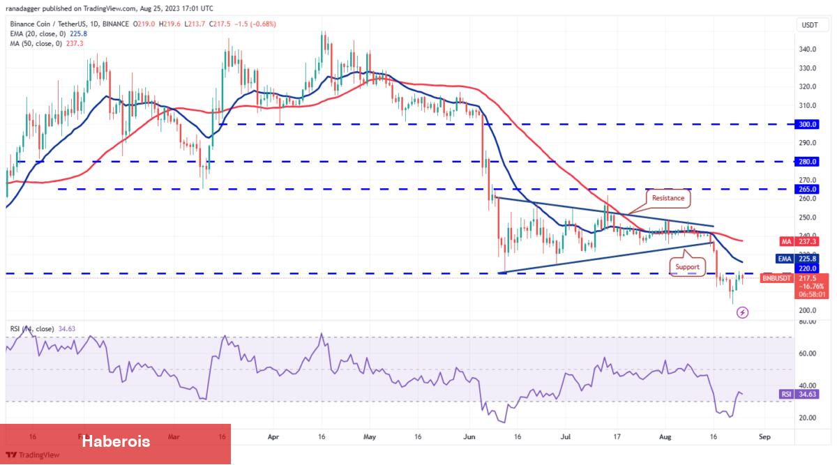 DOGE, ADA, XRP, MATIC ve Bu 6 Coin İçin Al-Sat Seviyeleri!