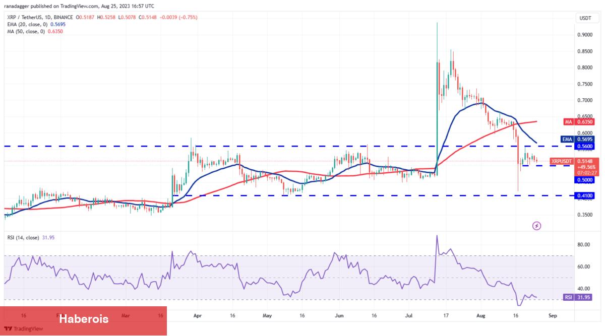 DOGE, ADA, XRP, MATIC ve Bu 6 Coin İçin Al-Sat Seviyeleri!