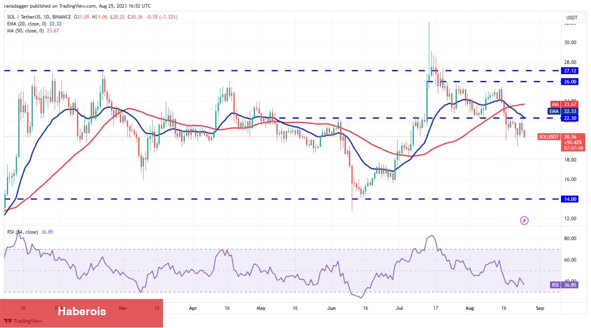 DOGE, ADA, XRP, MATIC ve Bu 6 Coin İçin Al-Sat Seviyeleri!