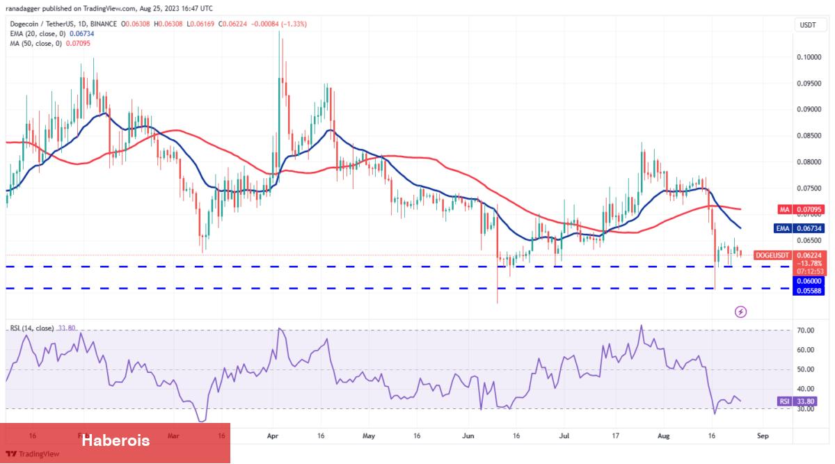 DOGE, ADA, XRP, MATIC ve Bu 6 Coin İçin Al-Sat Seviyeleri!