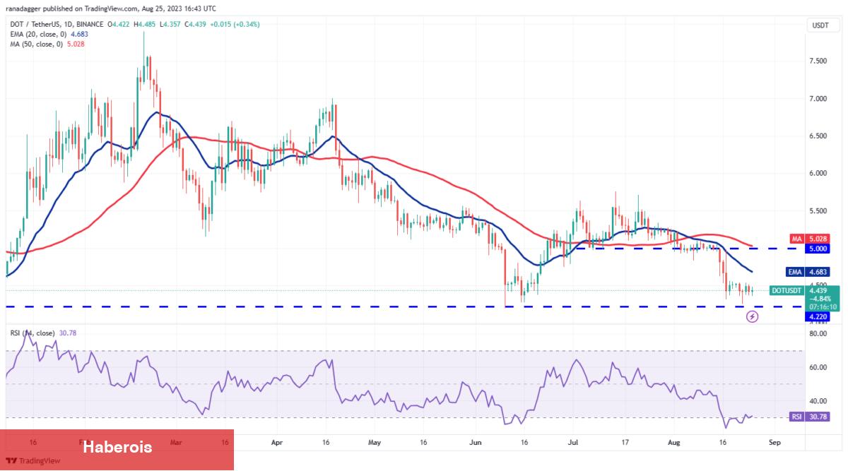 DOGE, ADA, XRP, MATIC ve Bu 6 Coin İçin Al-Sat Seviyeleri!