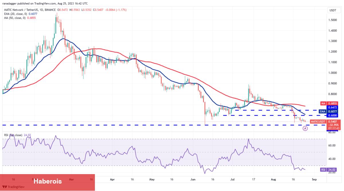 DOGE, ADA, XRP, MATIC ve Bu 6 Coin İçin Al-Sat Seviyeleri!