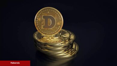 DOGE Mucidi, Favori Kriptolarını ve Yatırım Prensiplerini Paylaştı!