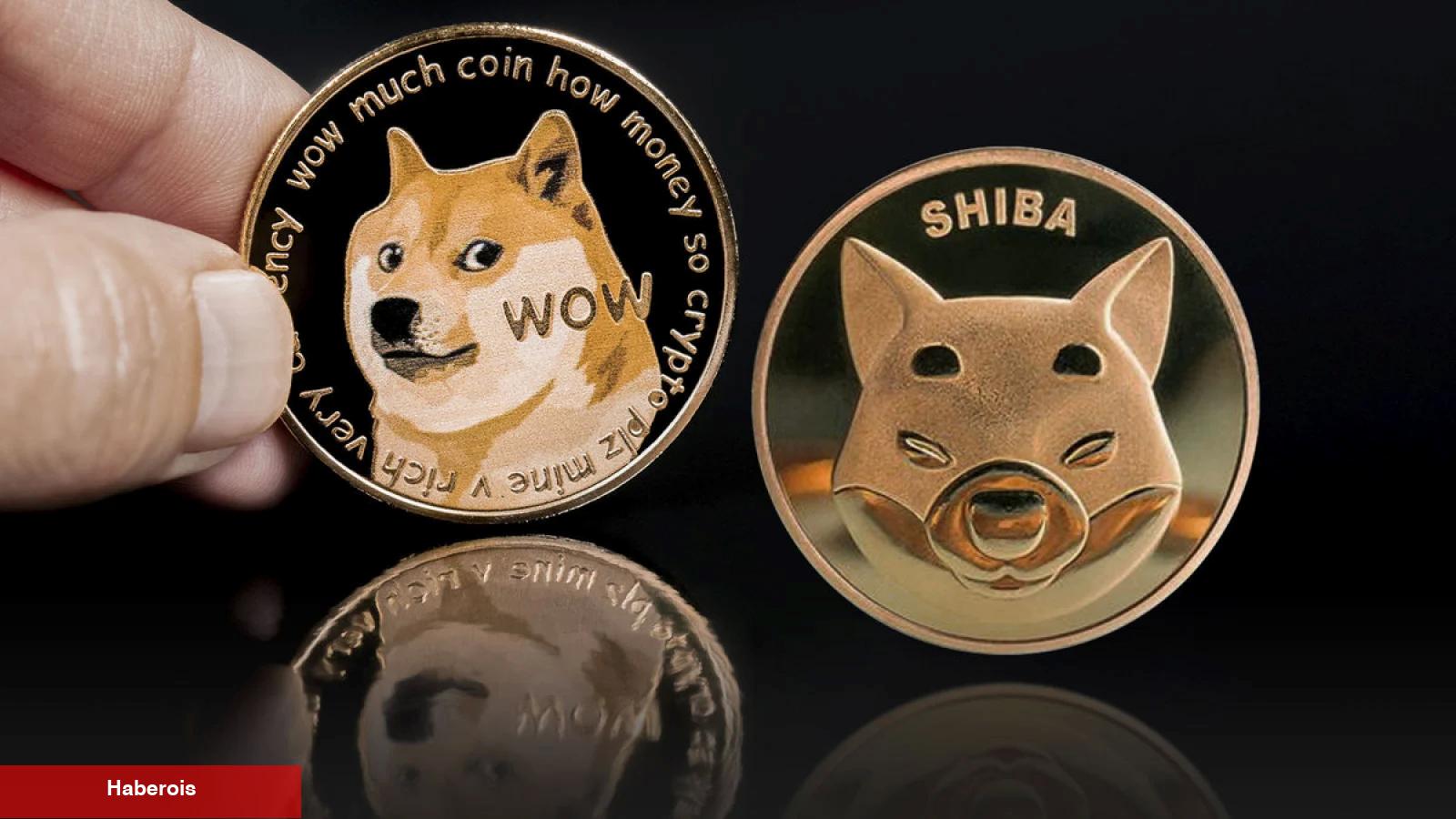 DOGE ve SHIB Bu Saatlerde Satılıyor! Pekala Kimler Alıyor?