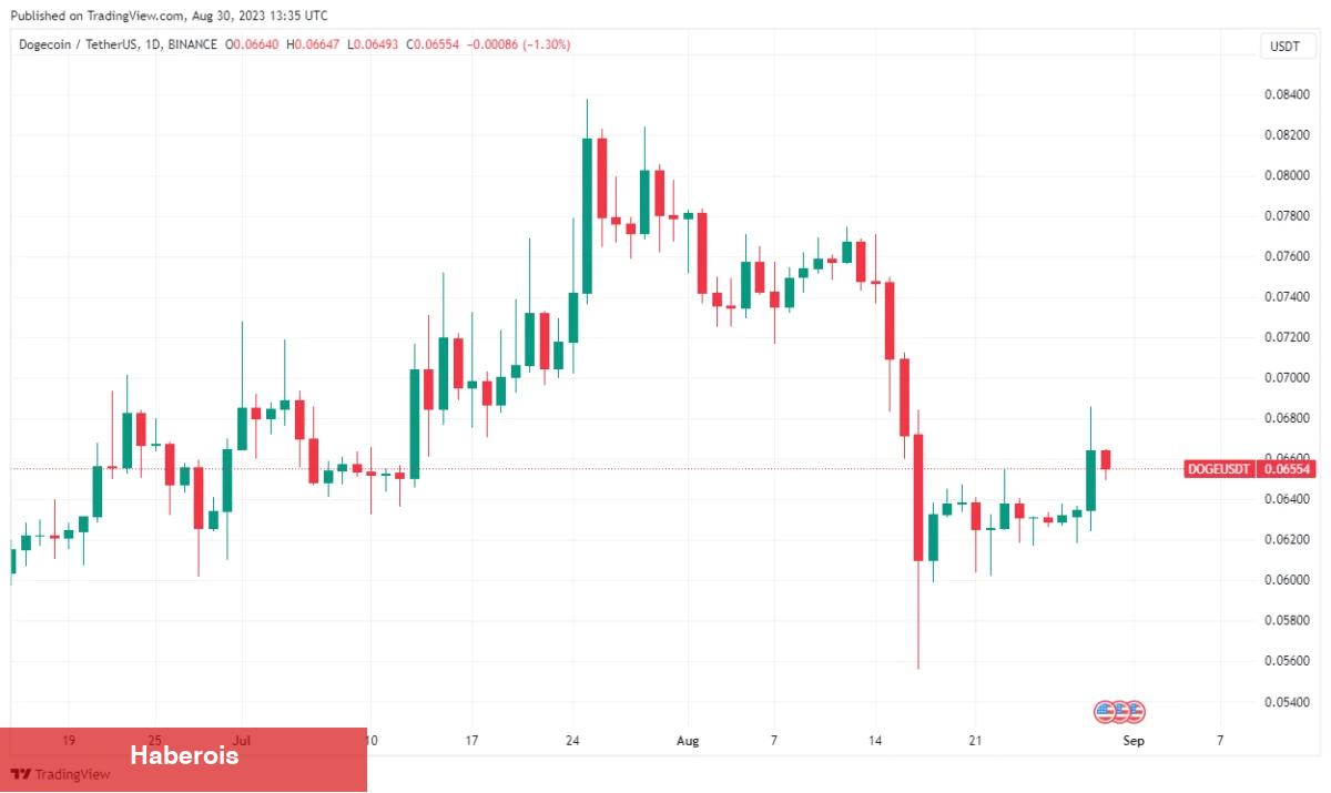 Dogecoin Neden Yükseliyor? İşte 2 Nedeni… - Haberois Dogecoin Neden Yükseliyor? İşte 2 Nedeni…